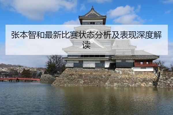 张本智和最新比赛状态分析及表现深度解读