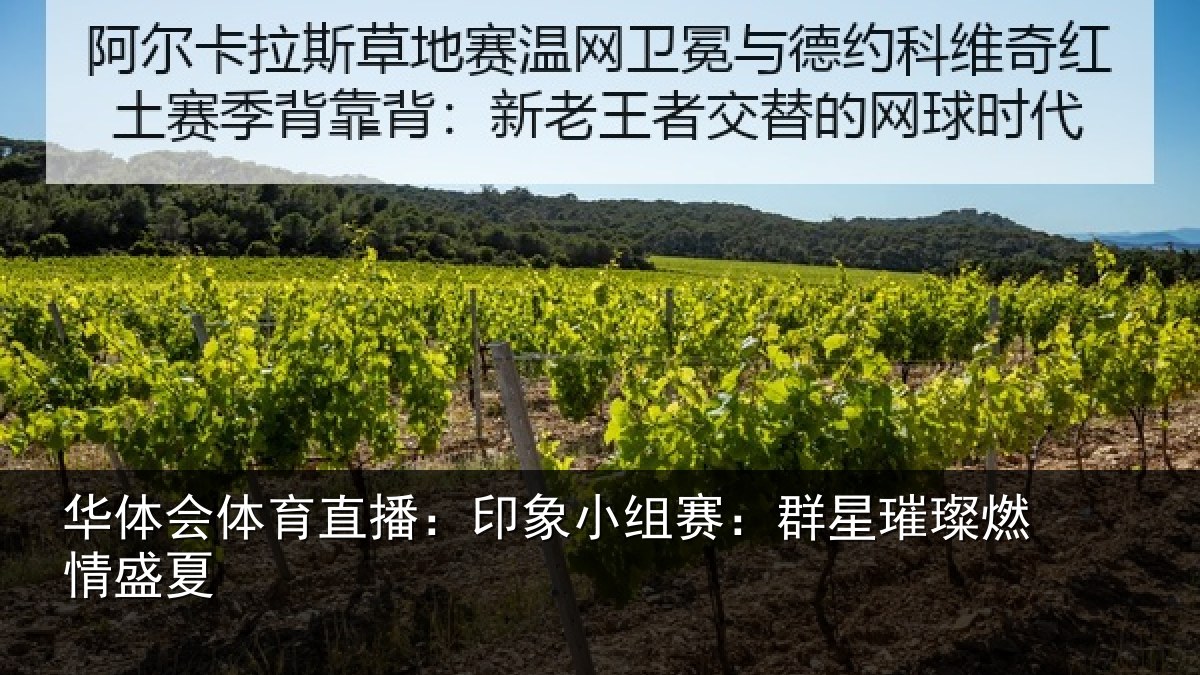 华体会体育直播：印象小组赛：群星璀璨燃情盛夏