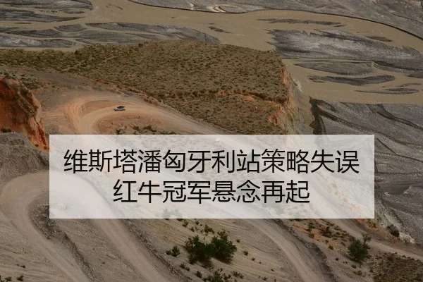 维斯塔潘匈牙利站策略失误 红牛冠军悬念再起