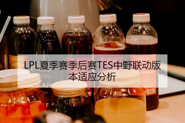 LPL夏季赛季后赛TES中野联动版本适应分析
