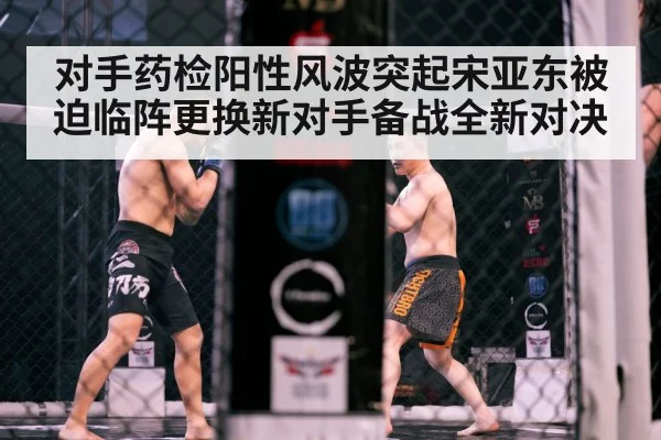 MMA cage fight
