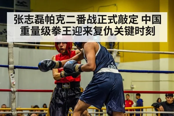 张志磊帕克二番战正式敲定 中国重量级拳王迎来复仇关键时刻